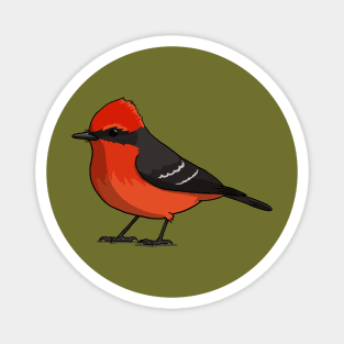 Vermillion Flycatcher Magnet